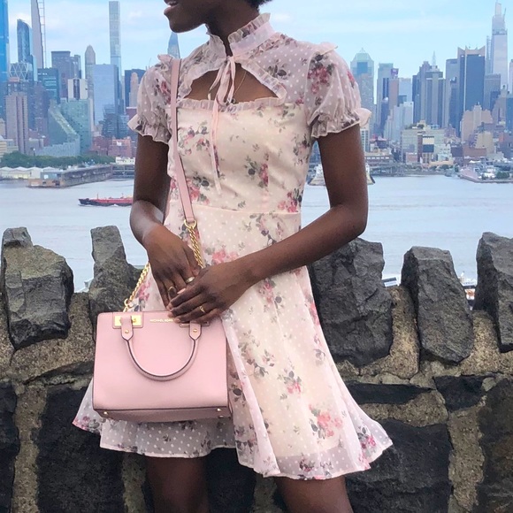 Dresses & Skirts - Pink Rose Lolita Dress